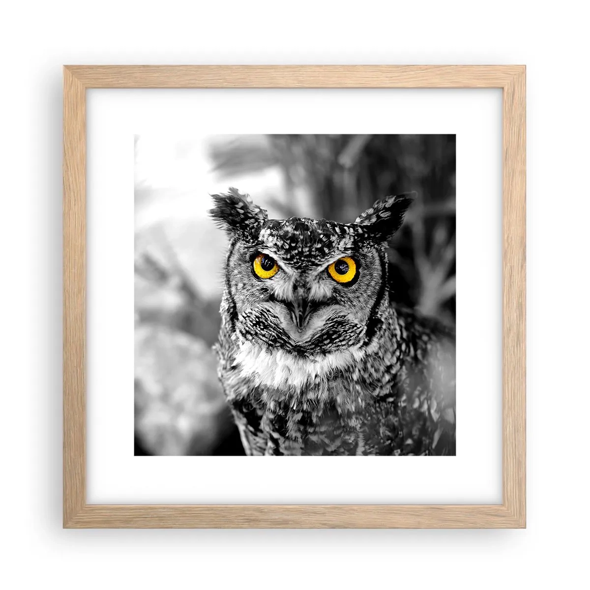 Plakat i ramme af lyst egetræ - Intet kan skjules - 30x30 cm