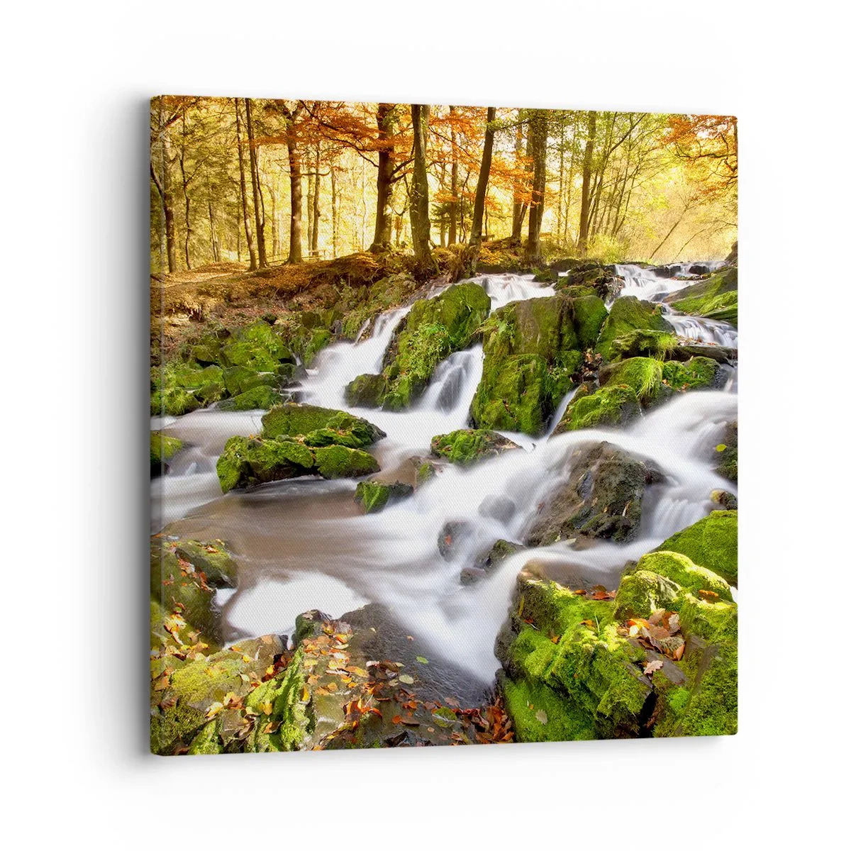 Lærredstryk - Billede på lærred - Bystrøm gennem efterårsskoven - 30x30 cm