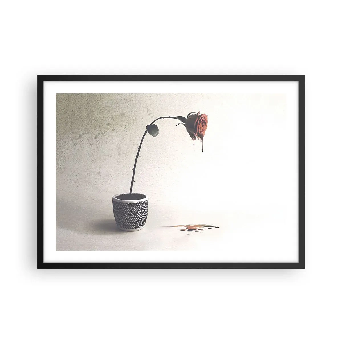 Plakat i sort ramme - Rosa dolorosa - 70x50 cm