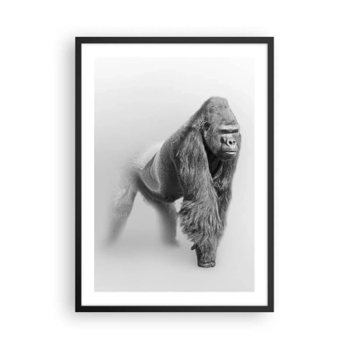 Plakat i sort ramme - Portræt af en gorilla mod en minimalistisk baggrund - 50x70cm - Selvsikker på sin styrke - Moderne vægdekoration til stue og soveværelse ARTTOR
