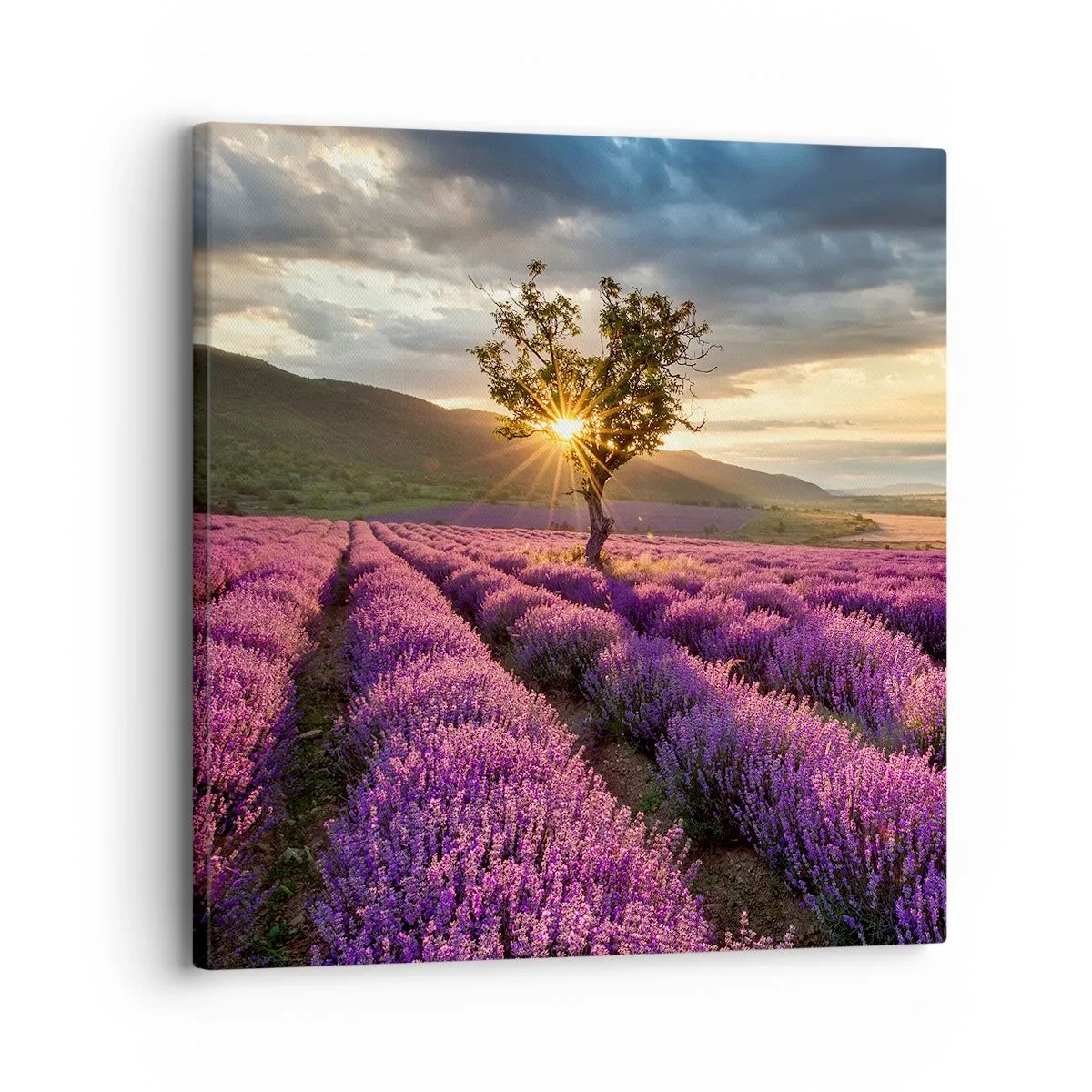 Lærredstryk - Billede på lærred - Lilla aroma - 30x30 cm