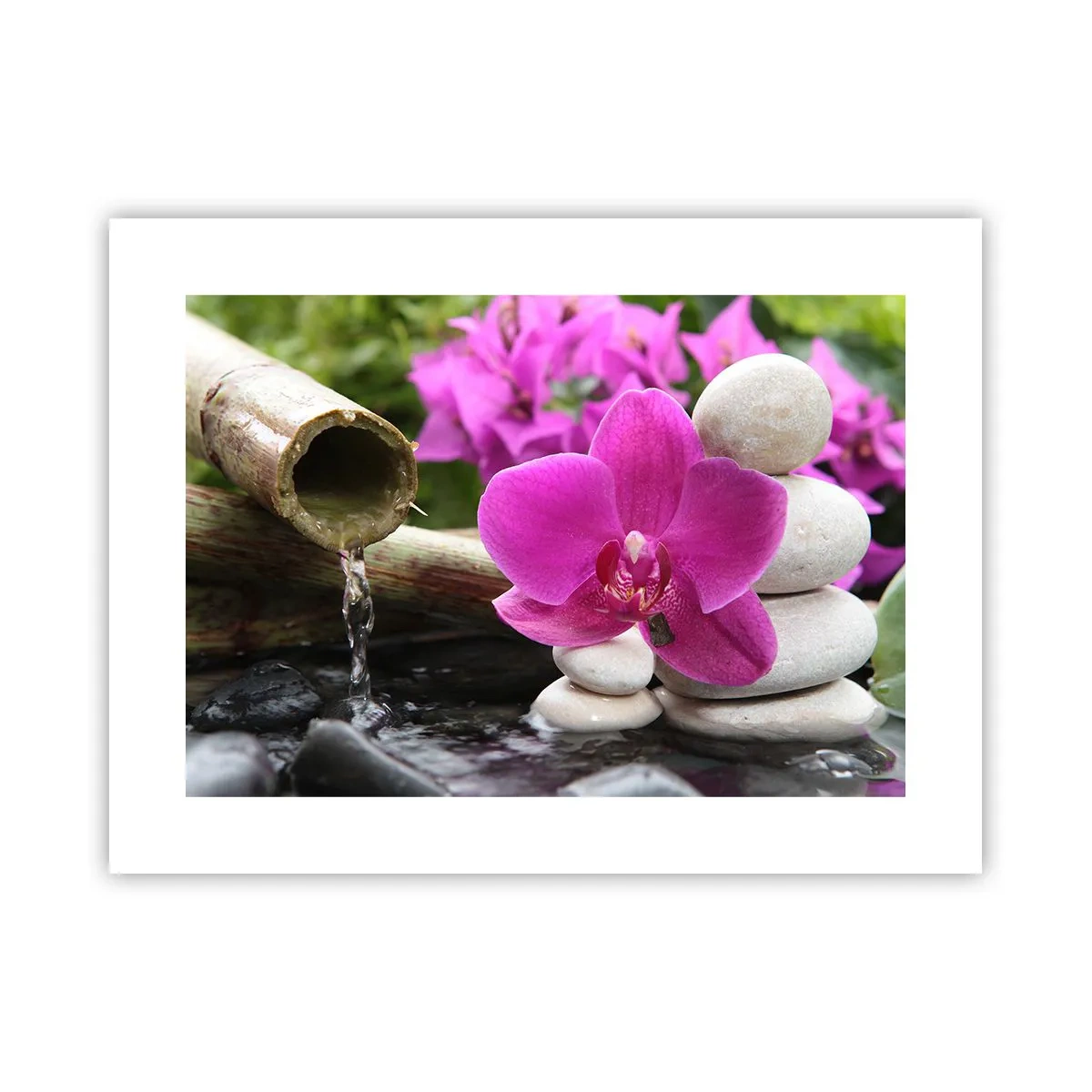 Plakat - Du hviler allerede - 40x30 cm