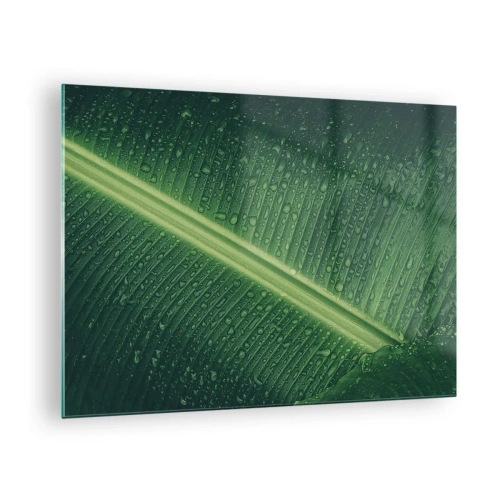 Billede på glas - Nærbillede af et grønt blad med vanddråber - 70x50cm - Grøn struktur - Moderne vægdekoration til stue og soveværelse ARTTOR