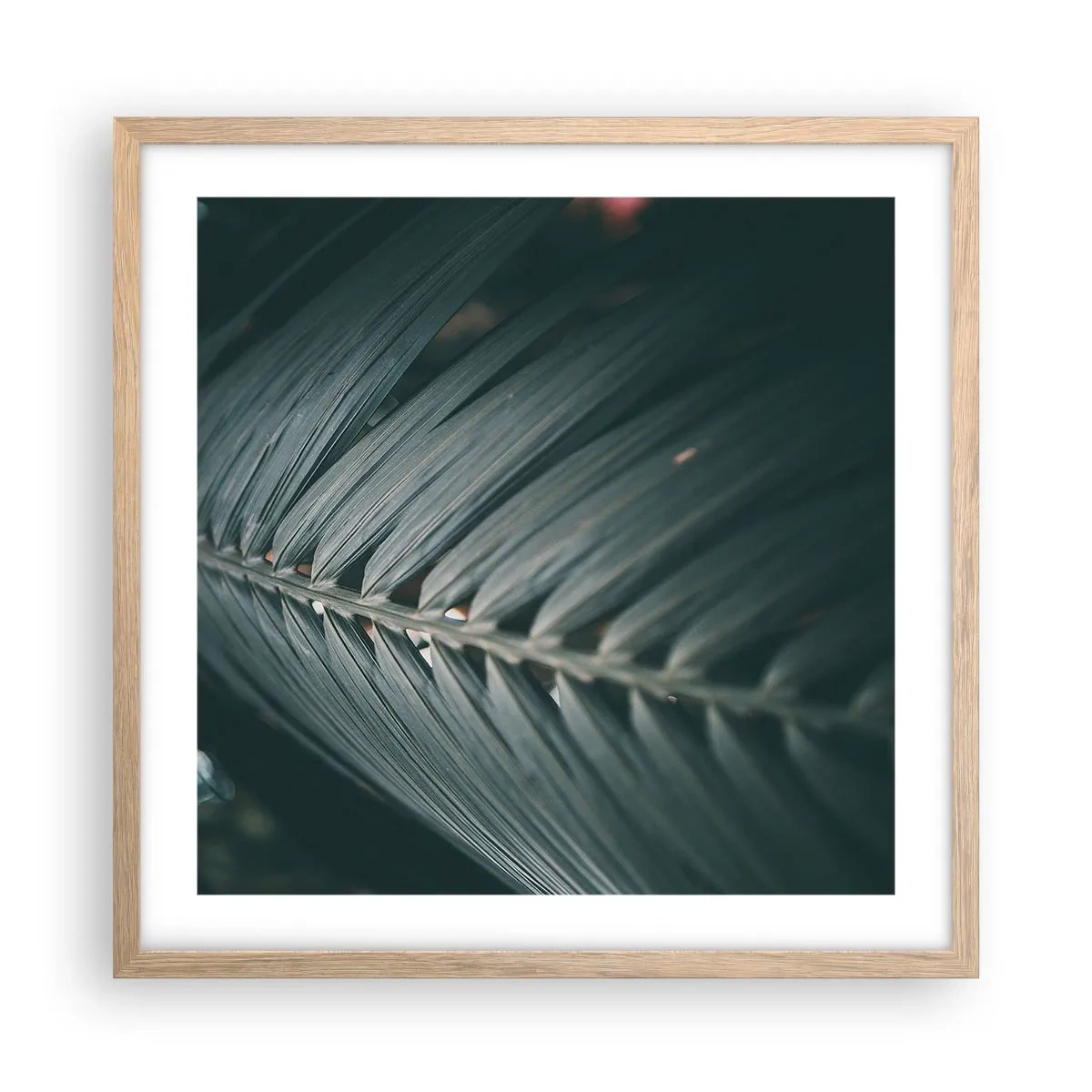 Plakat i ramme af lyst egetræ - Naturens præcision - 50x50 cm