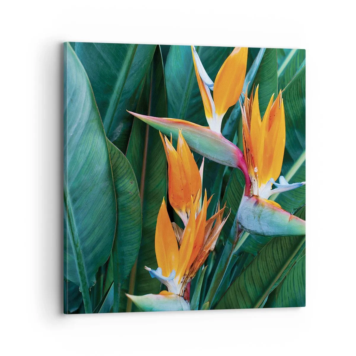 Lærredstryk - Billede på lærred - Er det en blomst eller er det en fugl? - 70x70 cm