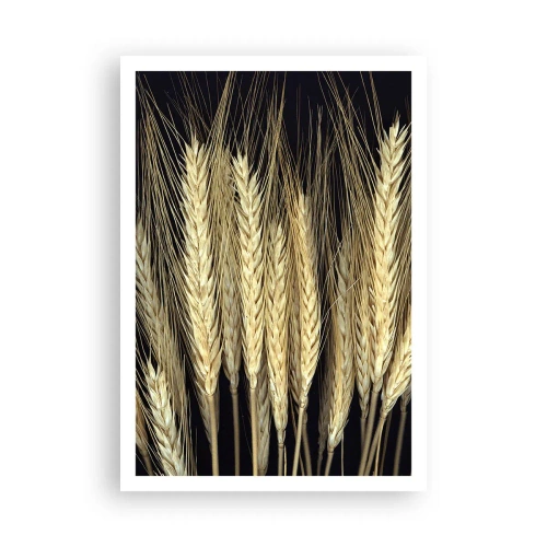 Plakat - Rustik magi - 70x100 cm