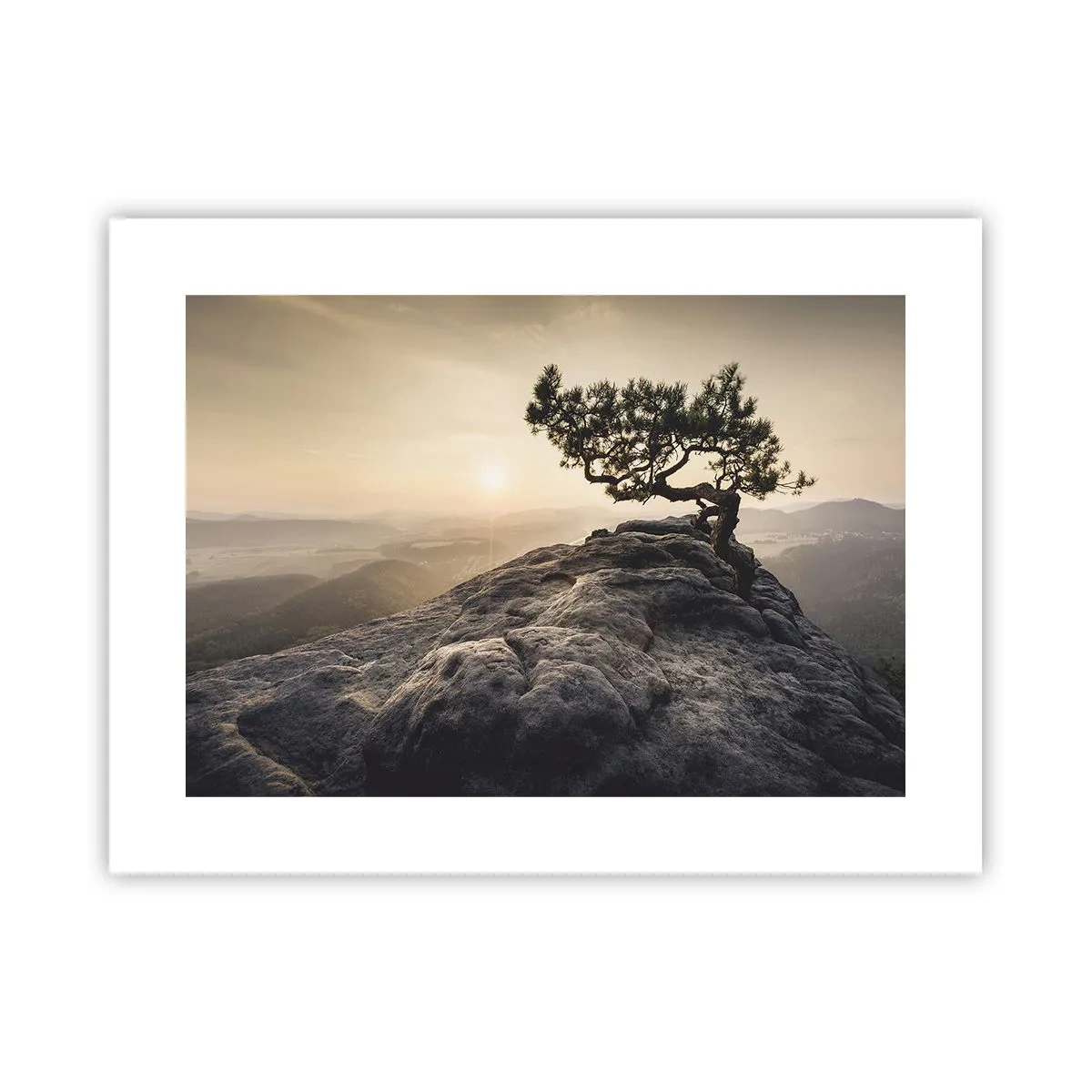 Plakat - Livet vinder altid - 40x30 cm
