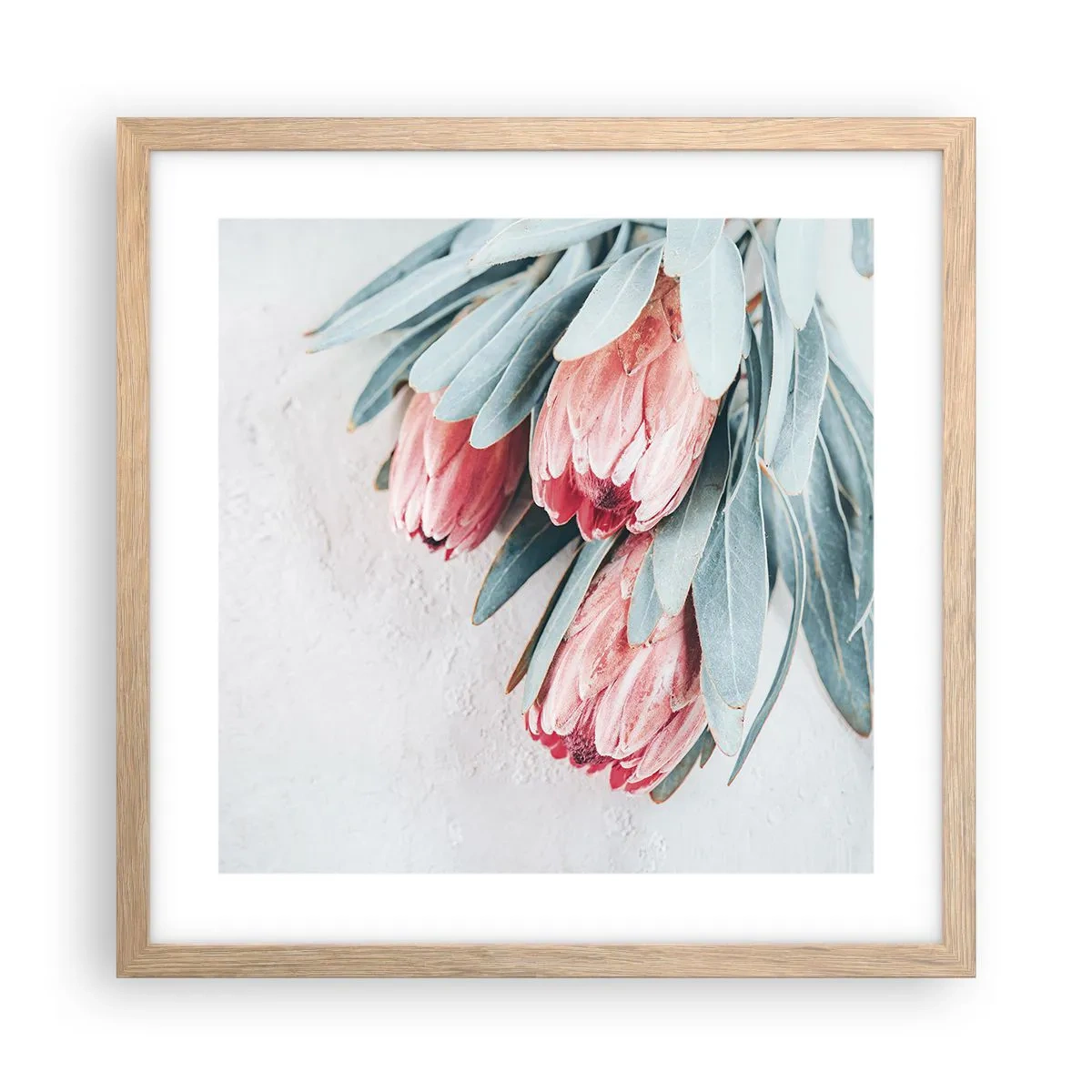 Plakat i ramme af lyst egetræ - Skammer sig over deres egen skønhed - 40x40 cm