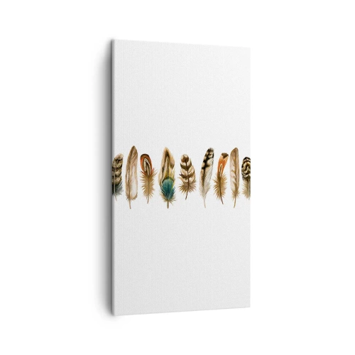 Lærredstryk - Billede på lærred - Variation med fjer - 45x80 cm