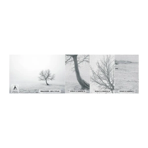Prøve Fototapet Premium Canvas - Mod intetheden - Landskab, Træ, Natur - 100x30 cm