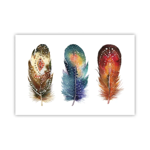 Plakat - Ritualer, ordinancer, mysterier - 91x61 cm