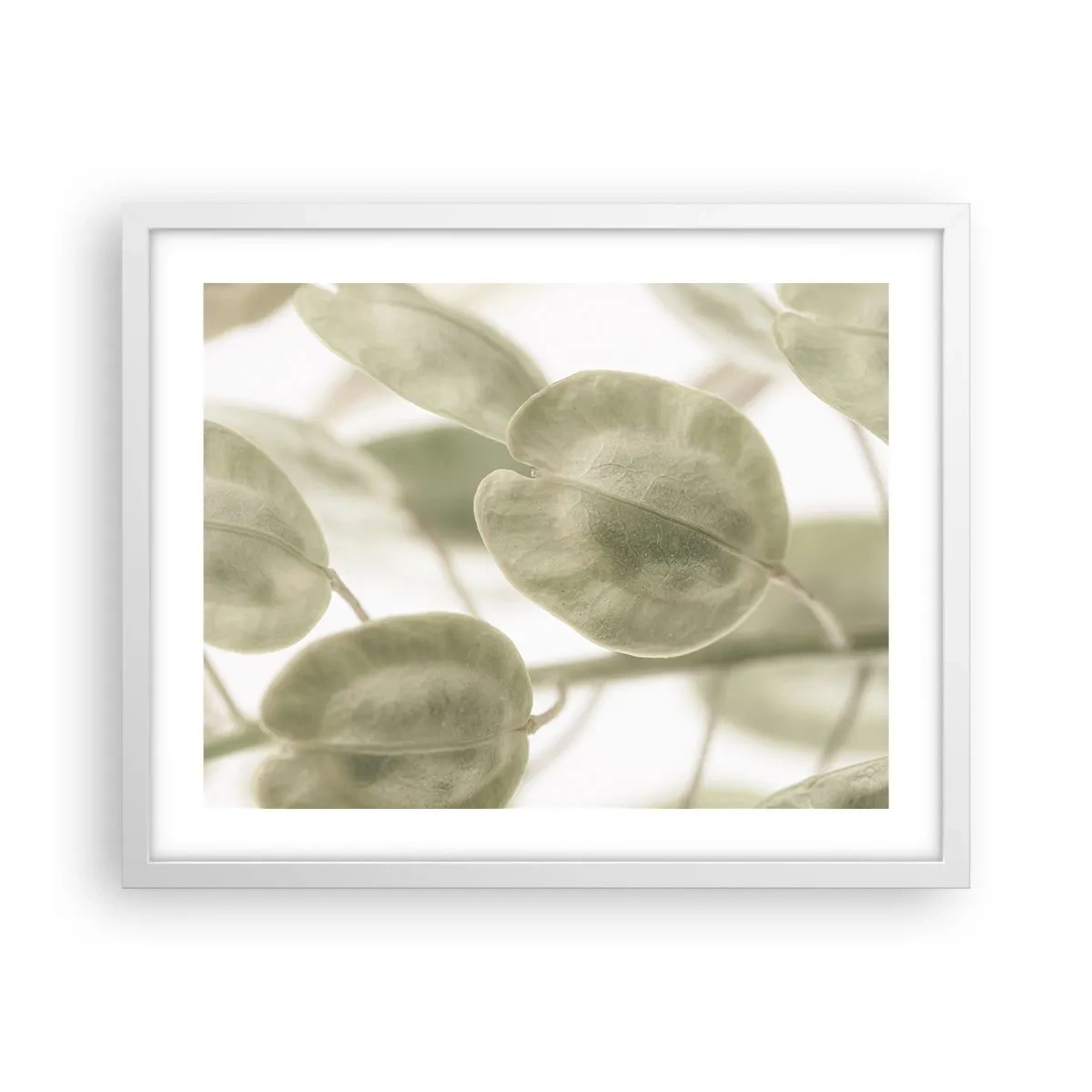 Plakat i hvid ramme - I begyndelsen var der blade... - 50x40 cm