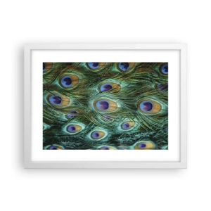 Plakat i hvid ramme - En påfugls blik - 40x30 cm