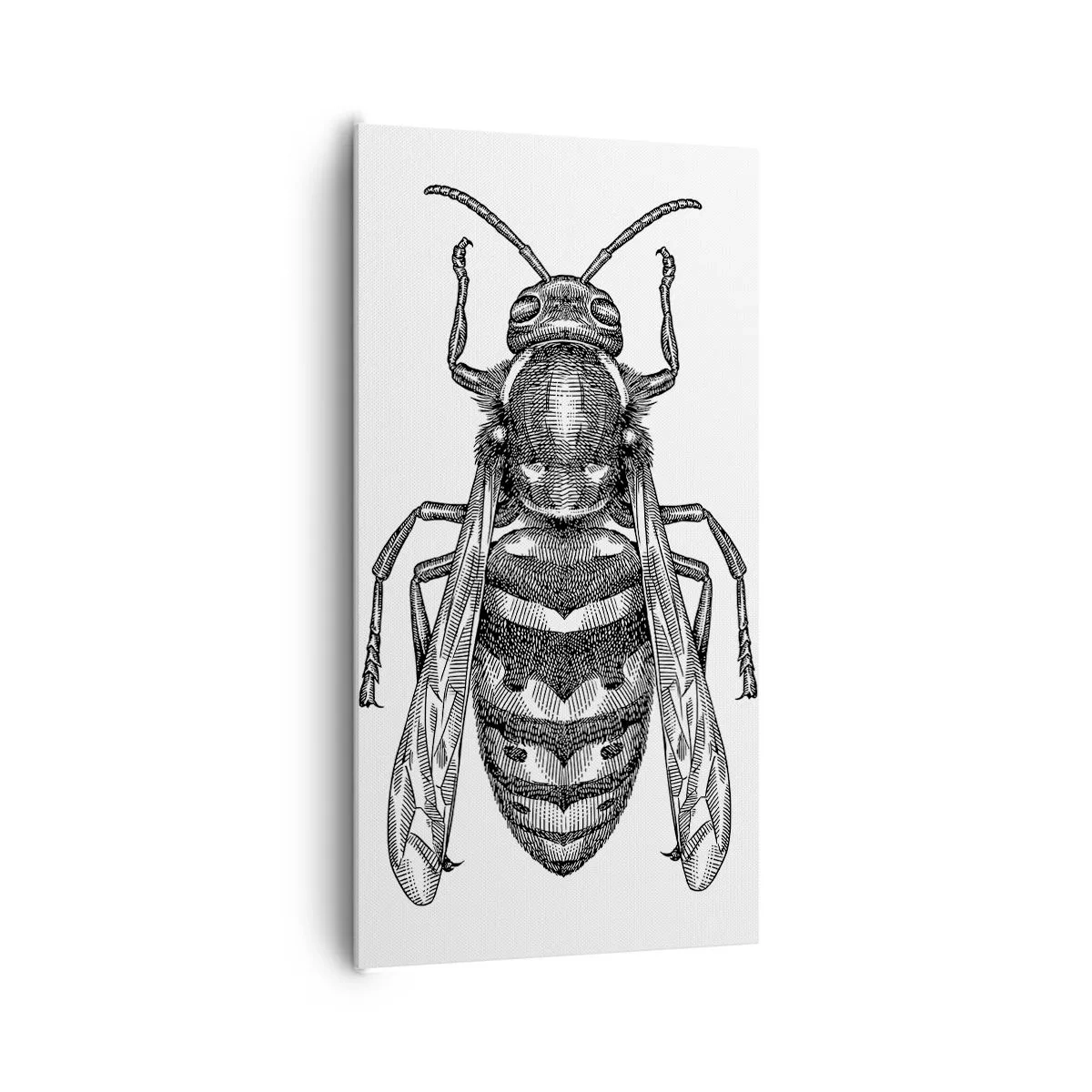 Lærredstryk - Billede på lærred - Fra en insektplanet - 65x120 cm