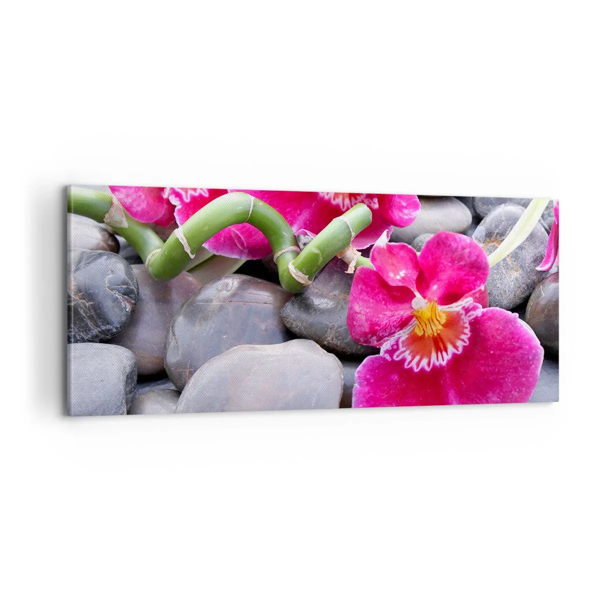 Lærredstryk - Billede på lærred - Kulde og varme - 100x40 cm