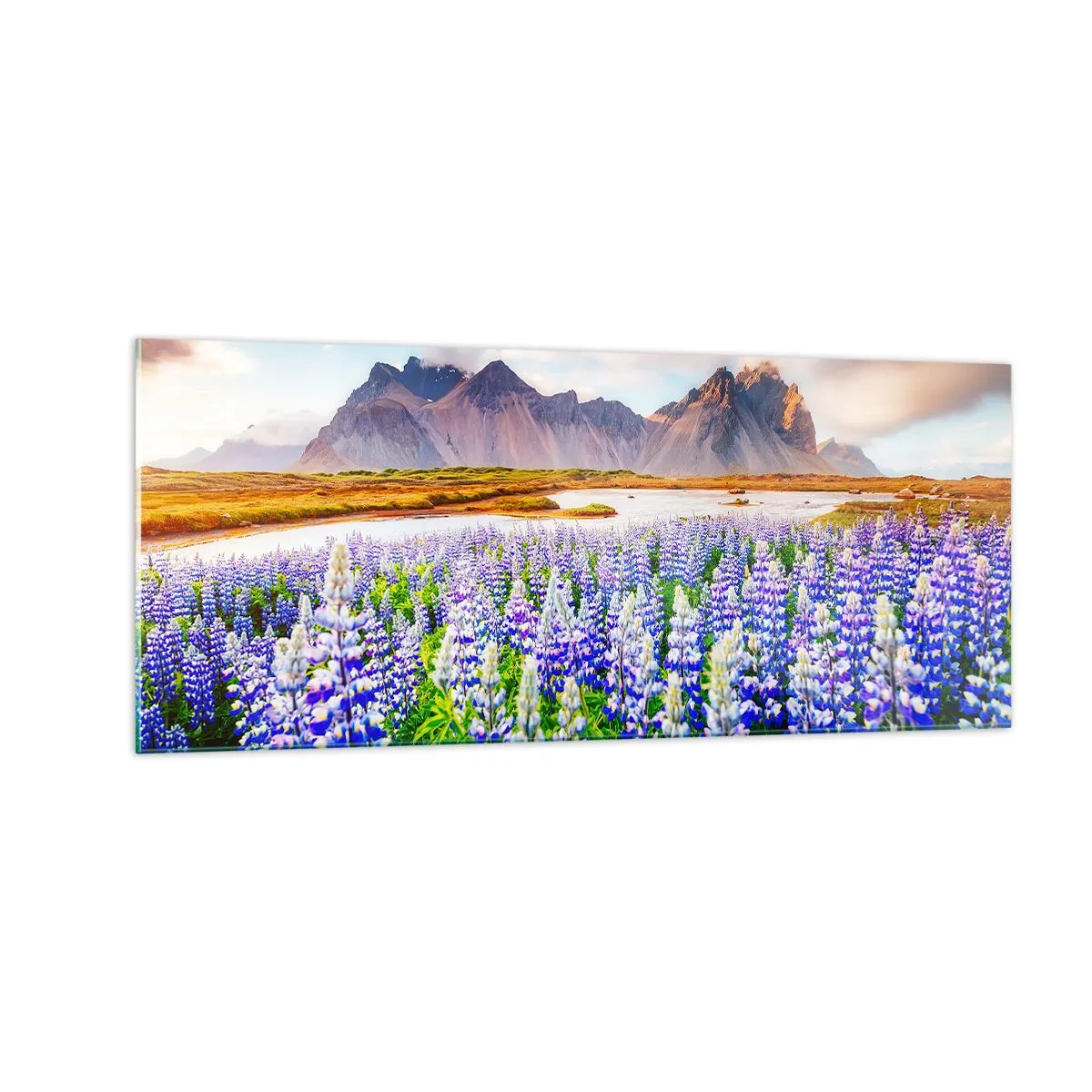 Billede på glas - Styrke og strenghed ved siden af blidhed - 100x40 cm