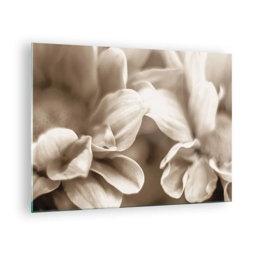 Billede på glas - Makrofotografi af lyse blomsterblade i sepia - 70x50cm - Blid som et smil - Moderne vægdekoration til stue og soveværelse ARTTOR