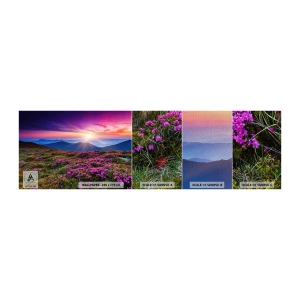Prøve Fototapet Premium Sand - Urter duftede friske bundter fra niw - Landskab, Bjerge, Blomster - 100x30 cm