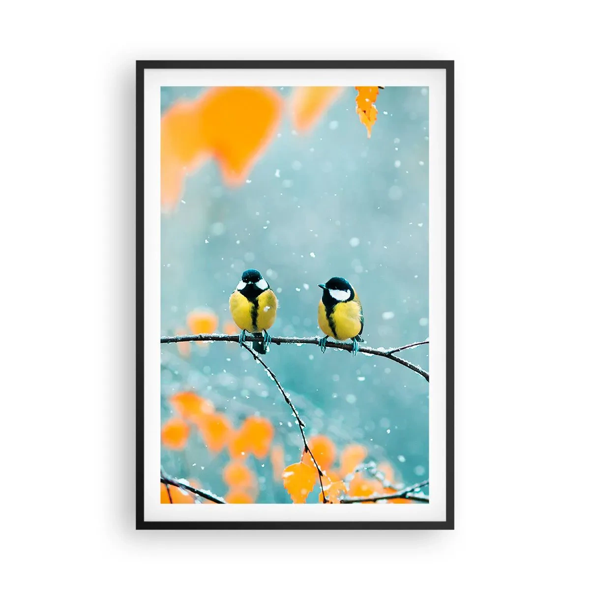 Plakat i sort ramme - Sladder om fugle - 61x91 cm