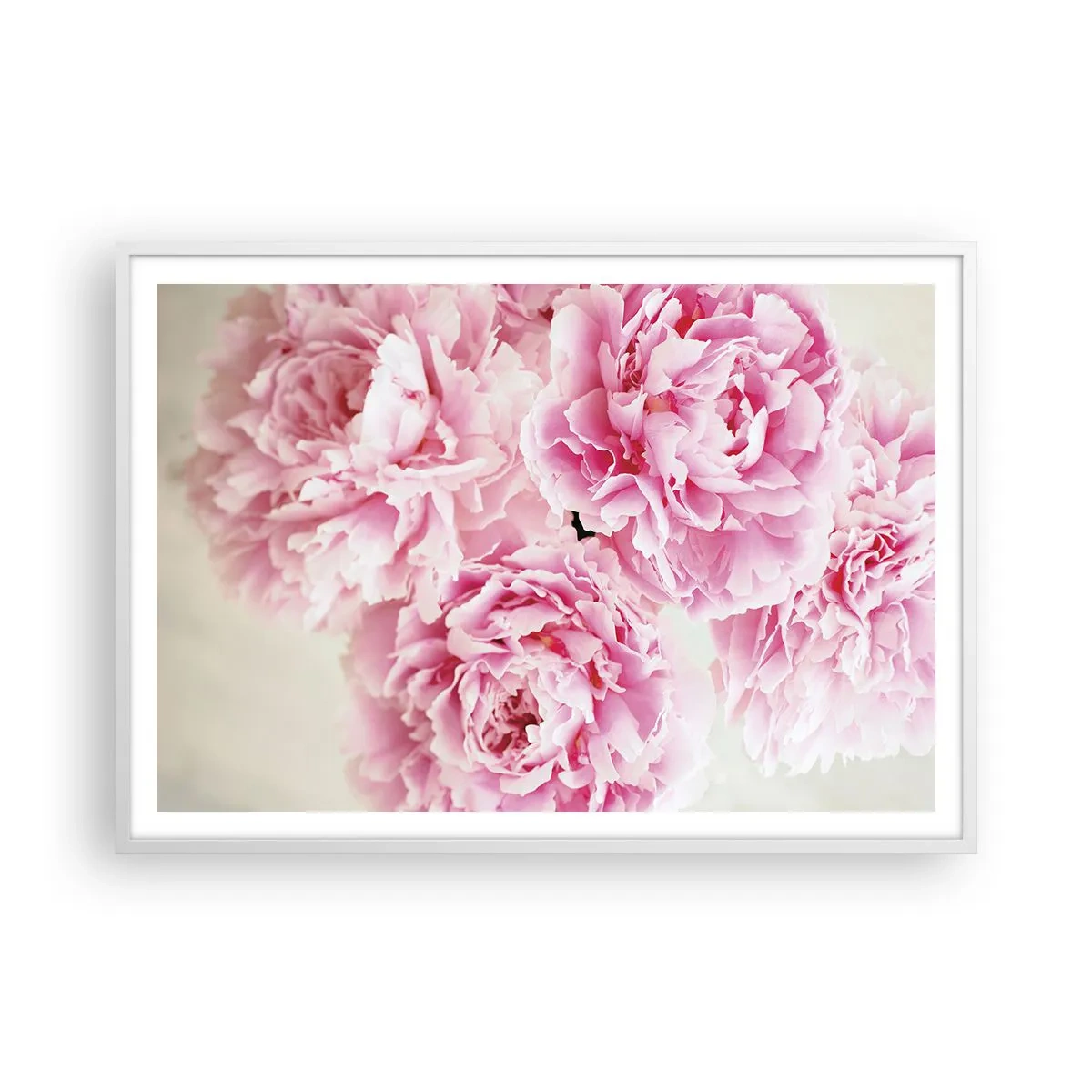 Plakat i hvid ramme - I lyserød glamour - 100x70 cm