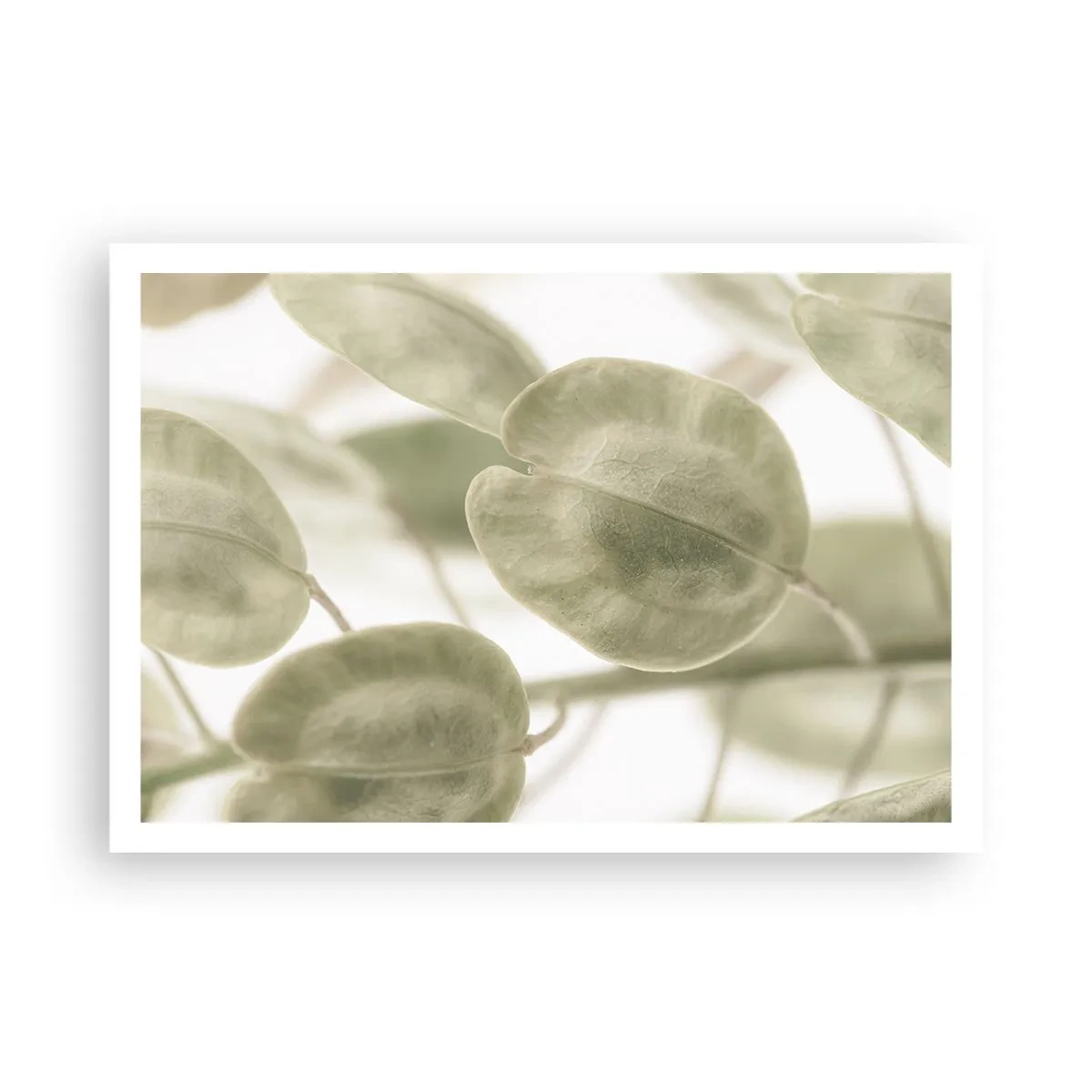 Plakat - I begyndelsen var der blade... - 100x70 cm