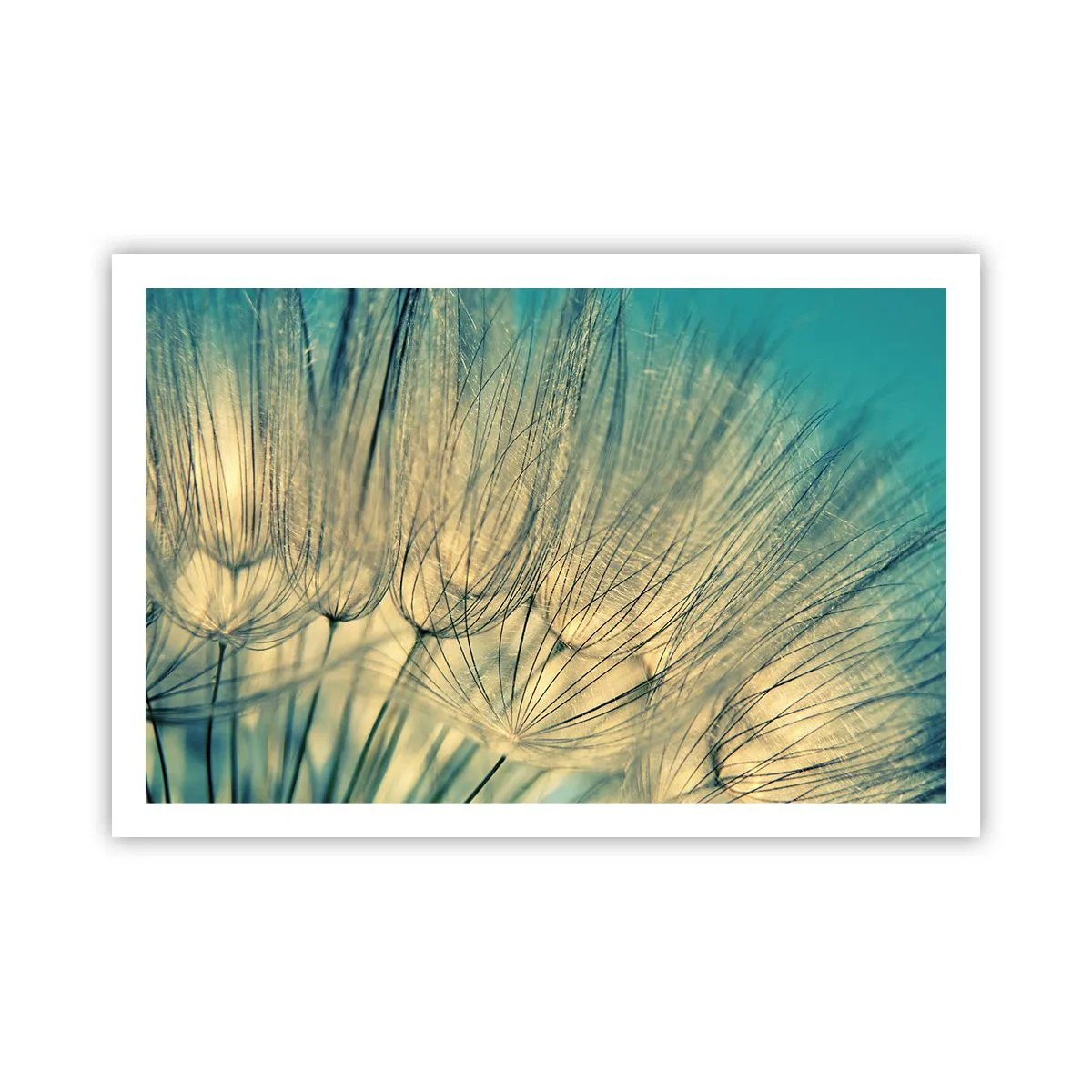 Plakat - Venter på vinden - 91x61 cm