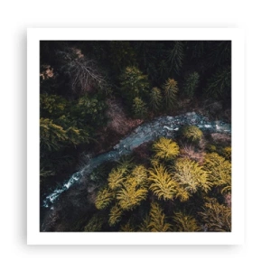 Plakat - Hurtigt, stadig hurtigere - 60x60 cm