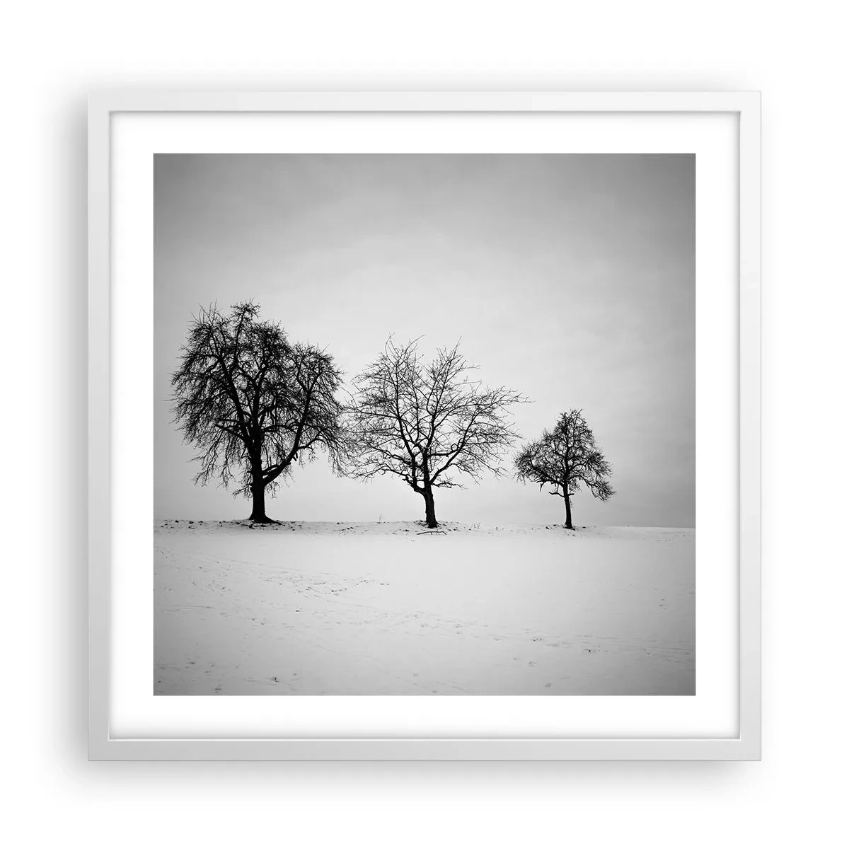 Plakat i hvid ramme - Hvad drømmer de om? - 50x50 cm