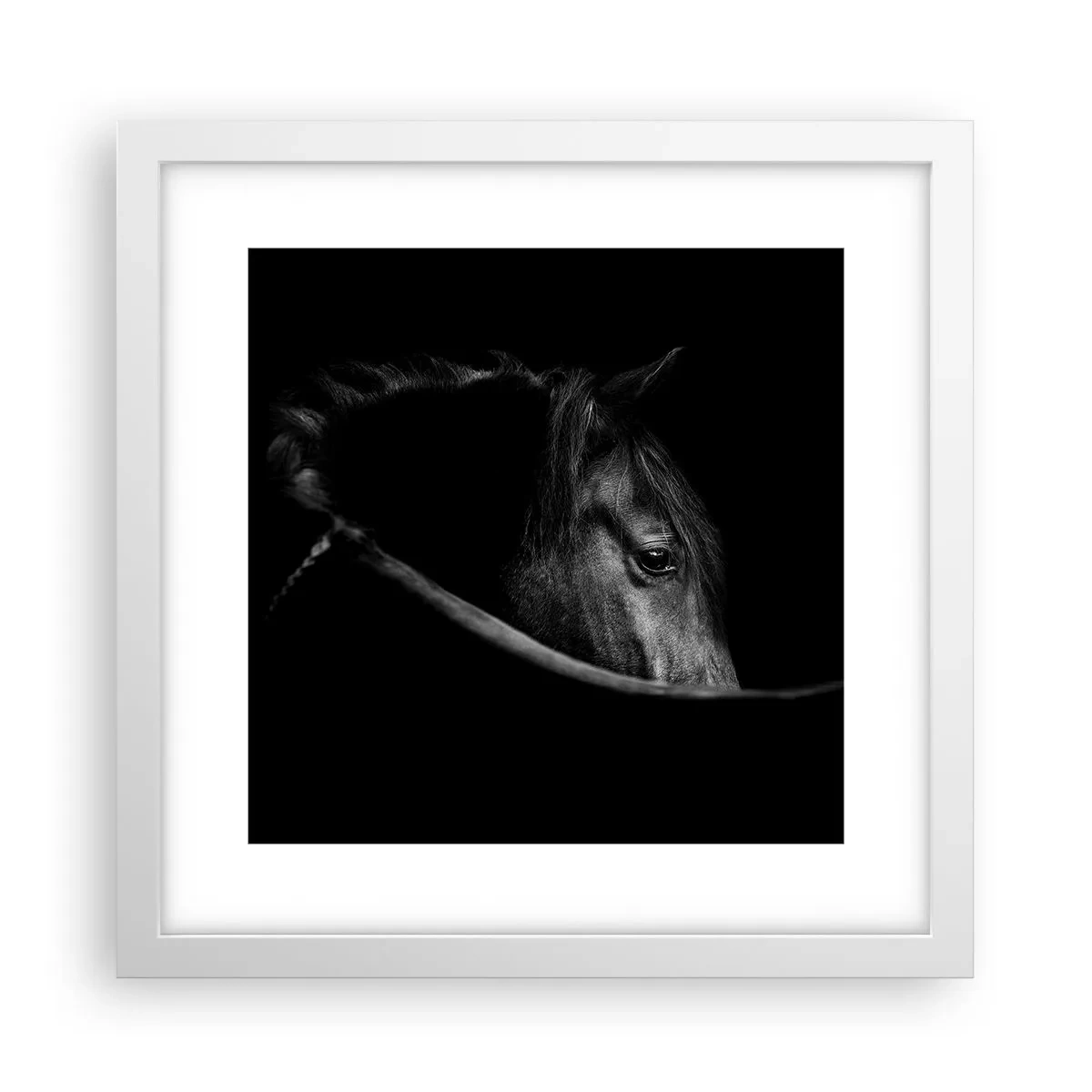 Plakat i hvid ramme - Sort prins - 30x30 cm