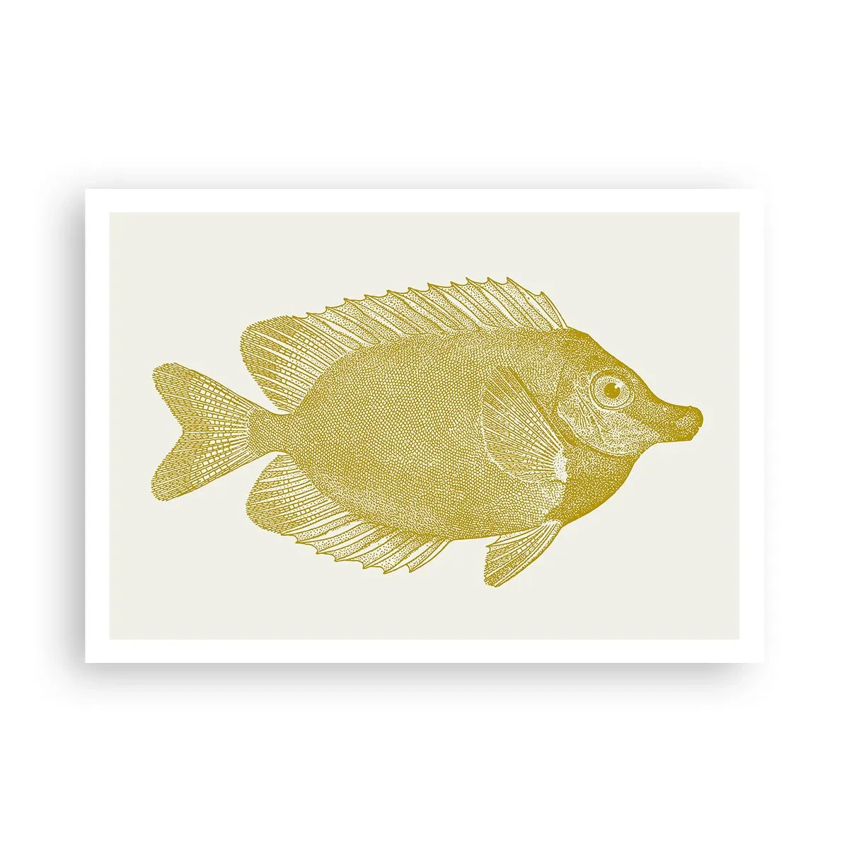 Plakat - Fisk og det er det - 100x70 cm