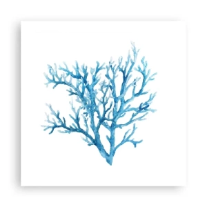 Plakat - Marint filigran - 50x50 cm