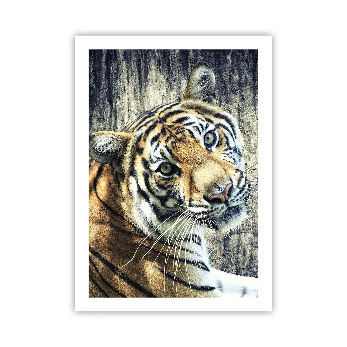 Plakat - Portræt i lysstrømme - 50x70 cm