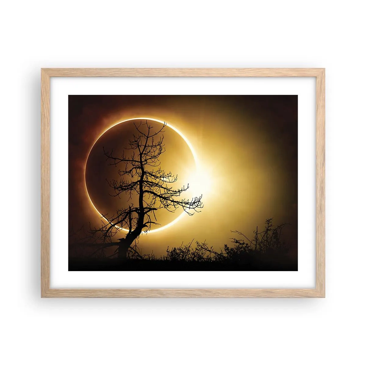 Plakat i ramme af lyst egetræ - Total formørkelse - 50x40 cm