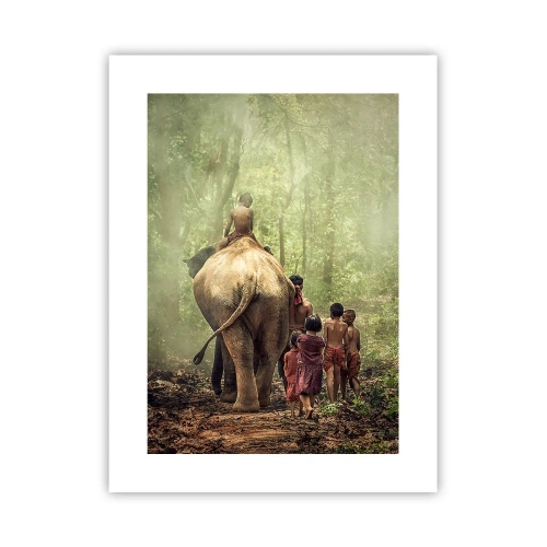 Plakat - Den nye Junglebog - 30x40 cm