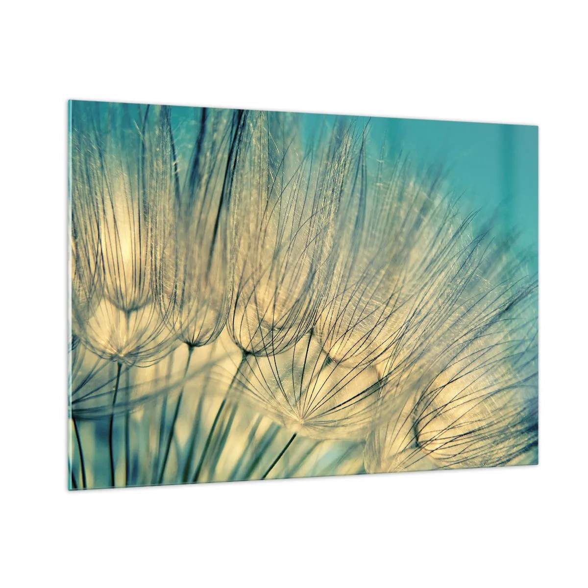 Billede på glas - Venter på vinden - 100x70 cm