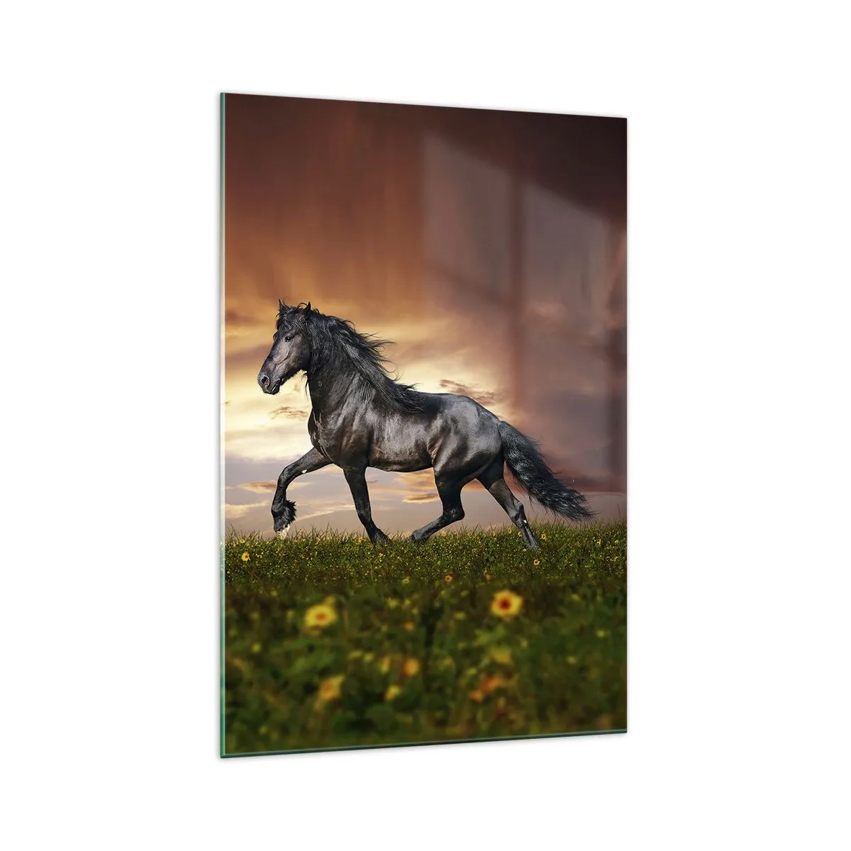 Billede på glas - Sort prins - 70x100 cm