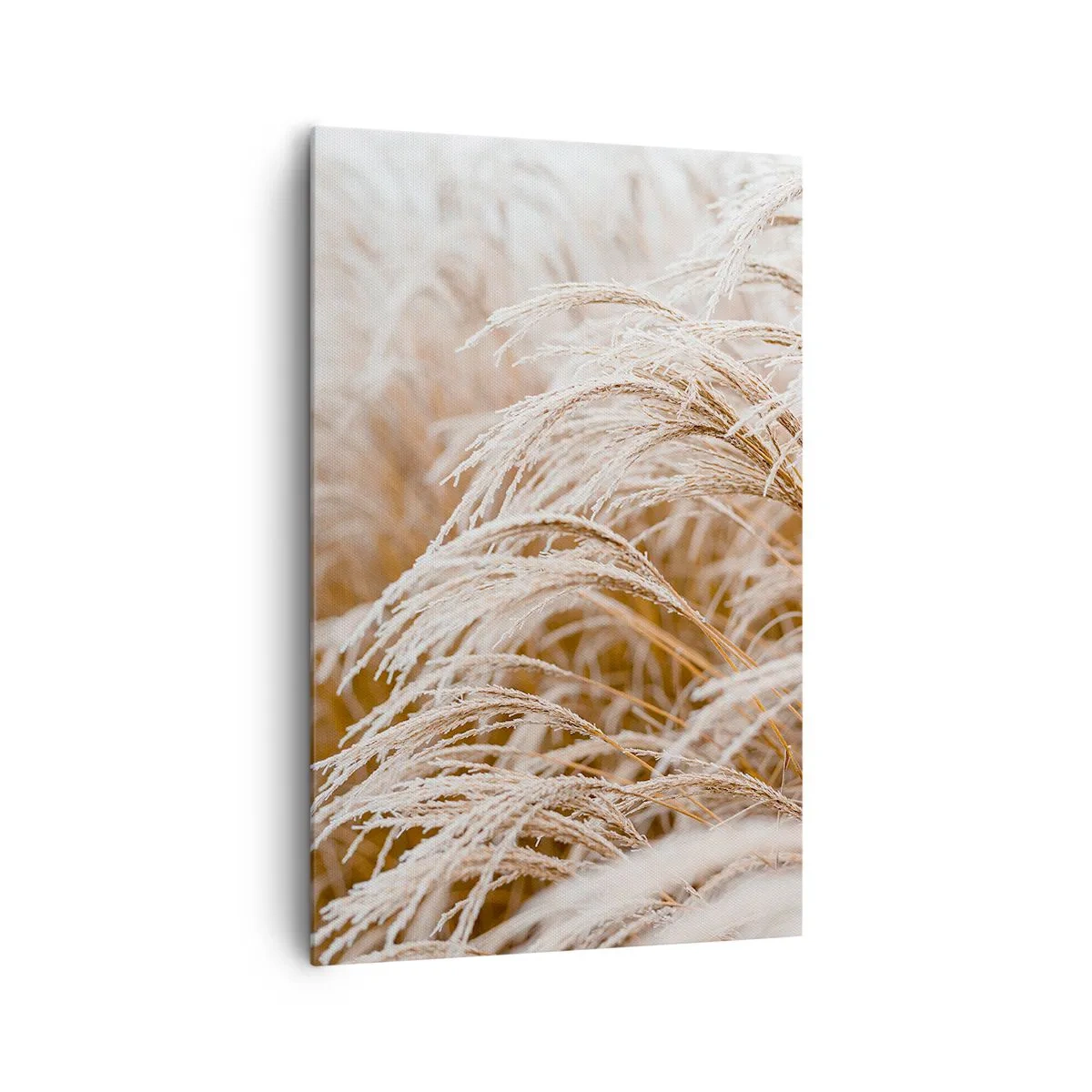 Lærredstryk - Billede på lærred - Bøjer sig for efterårssolen - 80x120 cm