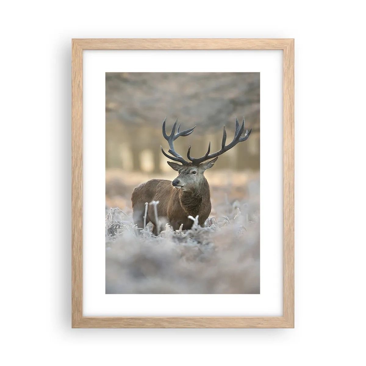 Plakat i ramme af lyst egetræ - En frisk morgen - 30x40 cm