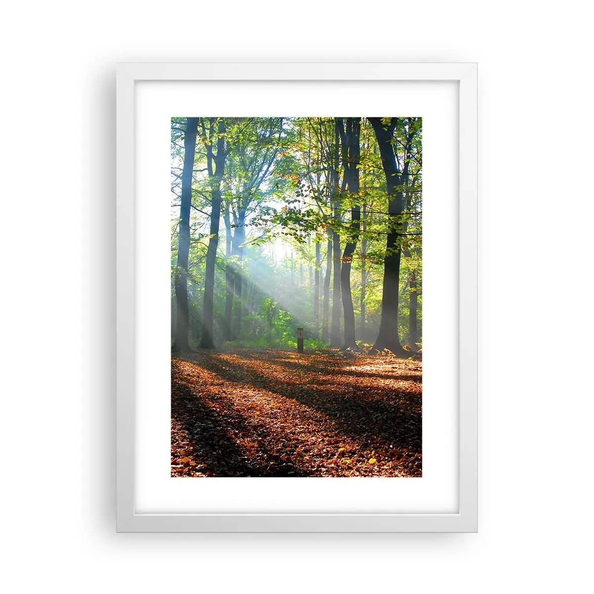 Plakat i hvid ramme - Lys og skygger - 30x40 cm