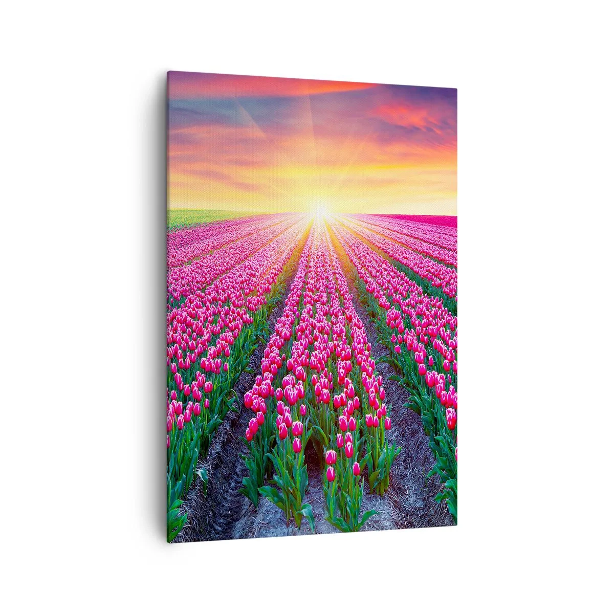 Lærredstryk - Billede på lærred - Skønhedsfarm - 70x100 cm