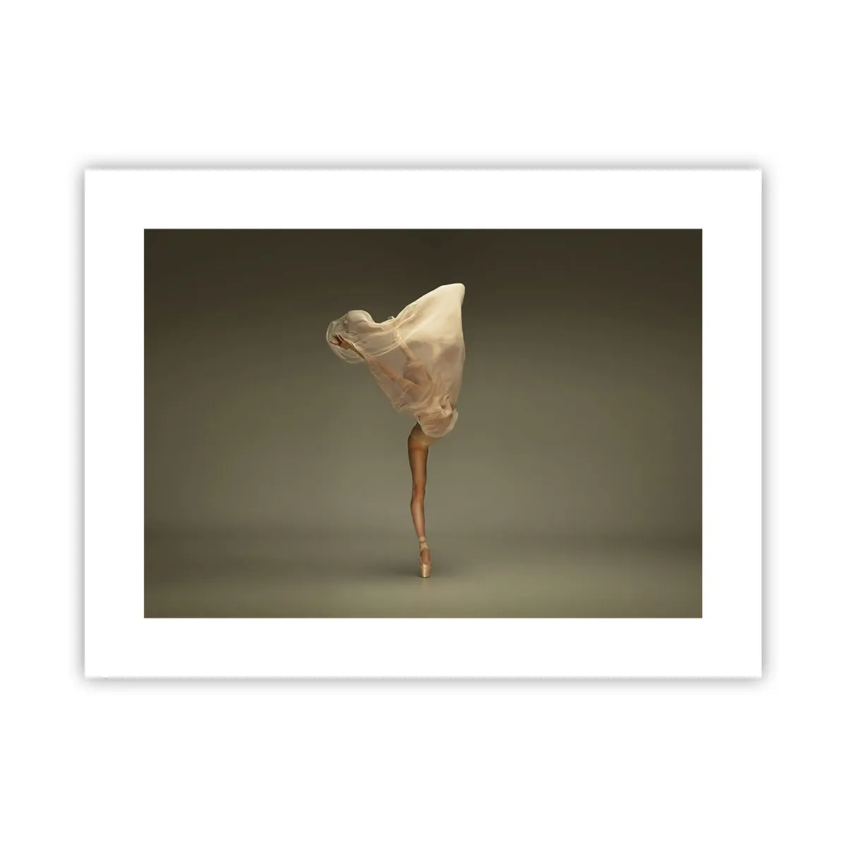 Plakat - Den er ved at flyve - 40x30 cm