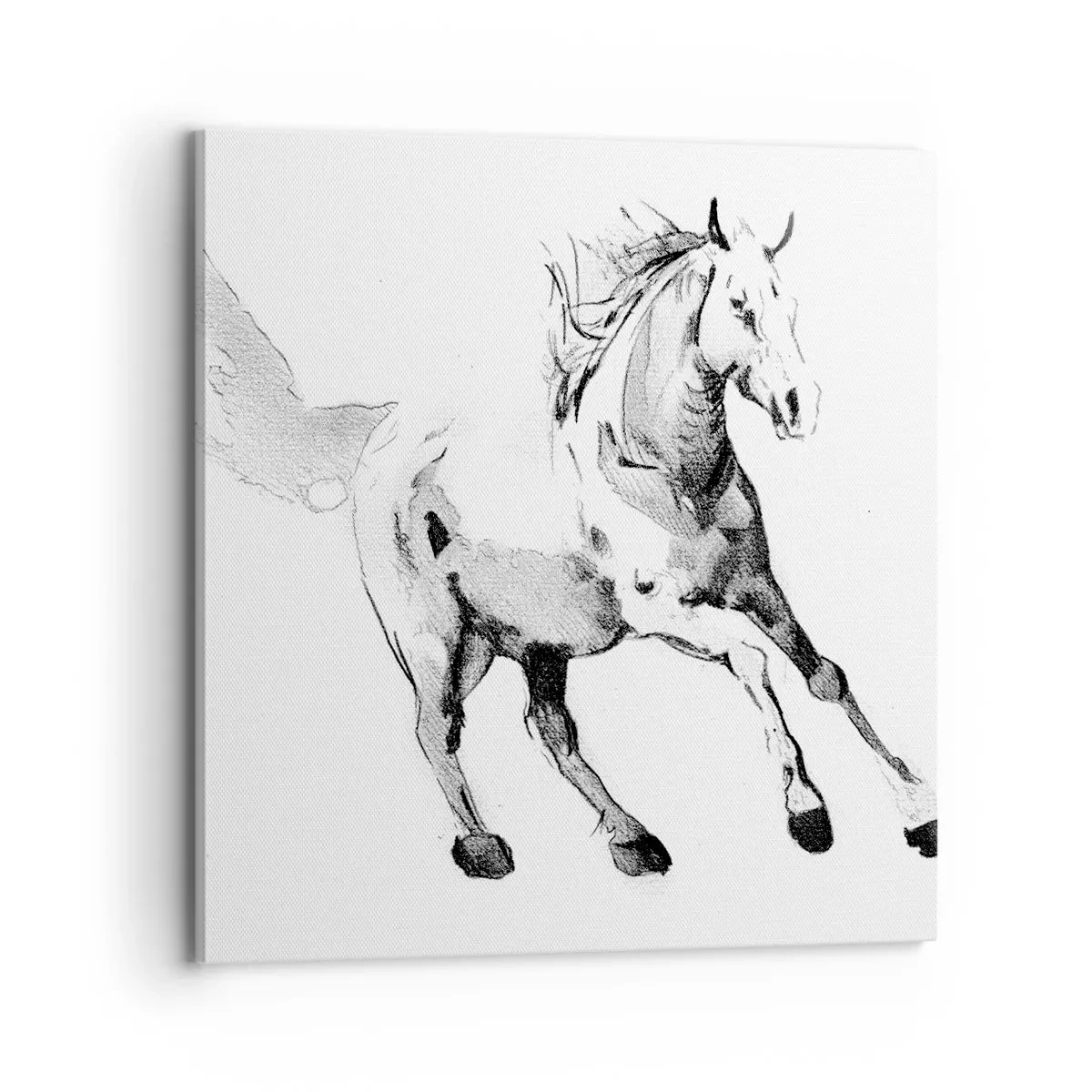 Lærredstryk - Billede på lærred - Utæmmet sjæl - 70x70 cm