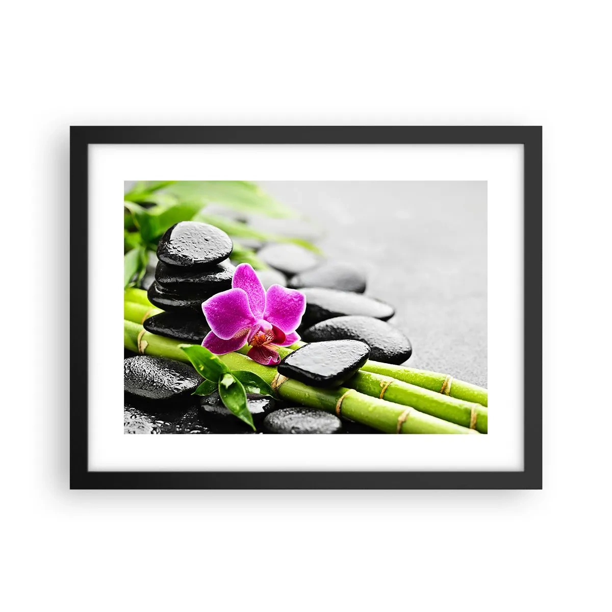 Plakat i sort ramme - I en fredelig balance - 40x30 cm