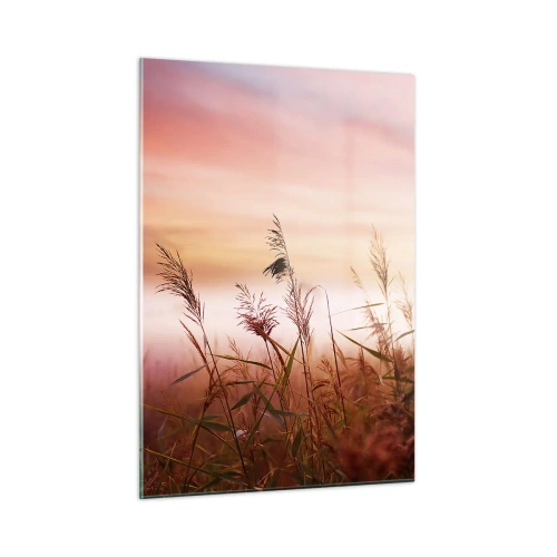 Billede på glas - Drager, blæsere, vind - 50x70 cm