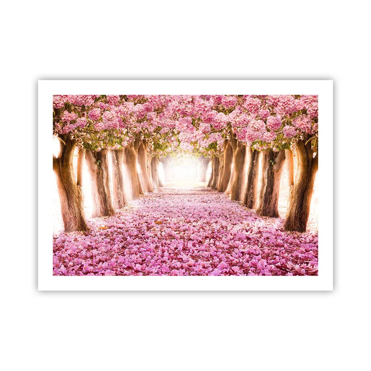 Plakat - Vejen til paradis - 70x50 cm
