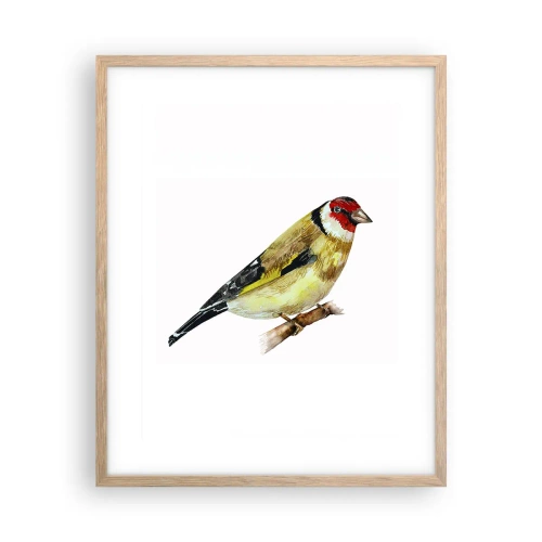 Plakat i ramme af lyst egetræ - Portræt af en fugl - 40x50 cm