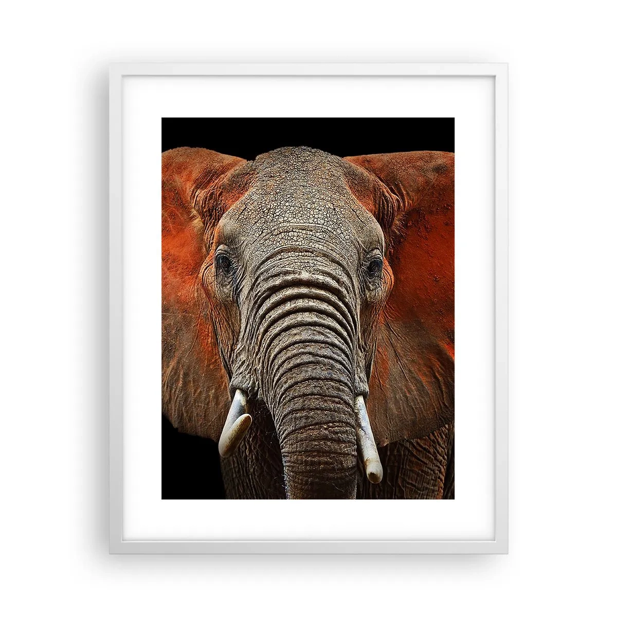 Plakat i hvid ramme - Jeg er vild, er du? - 40x50 cm