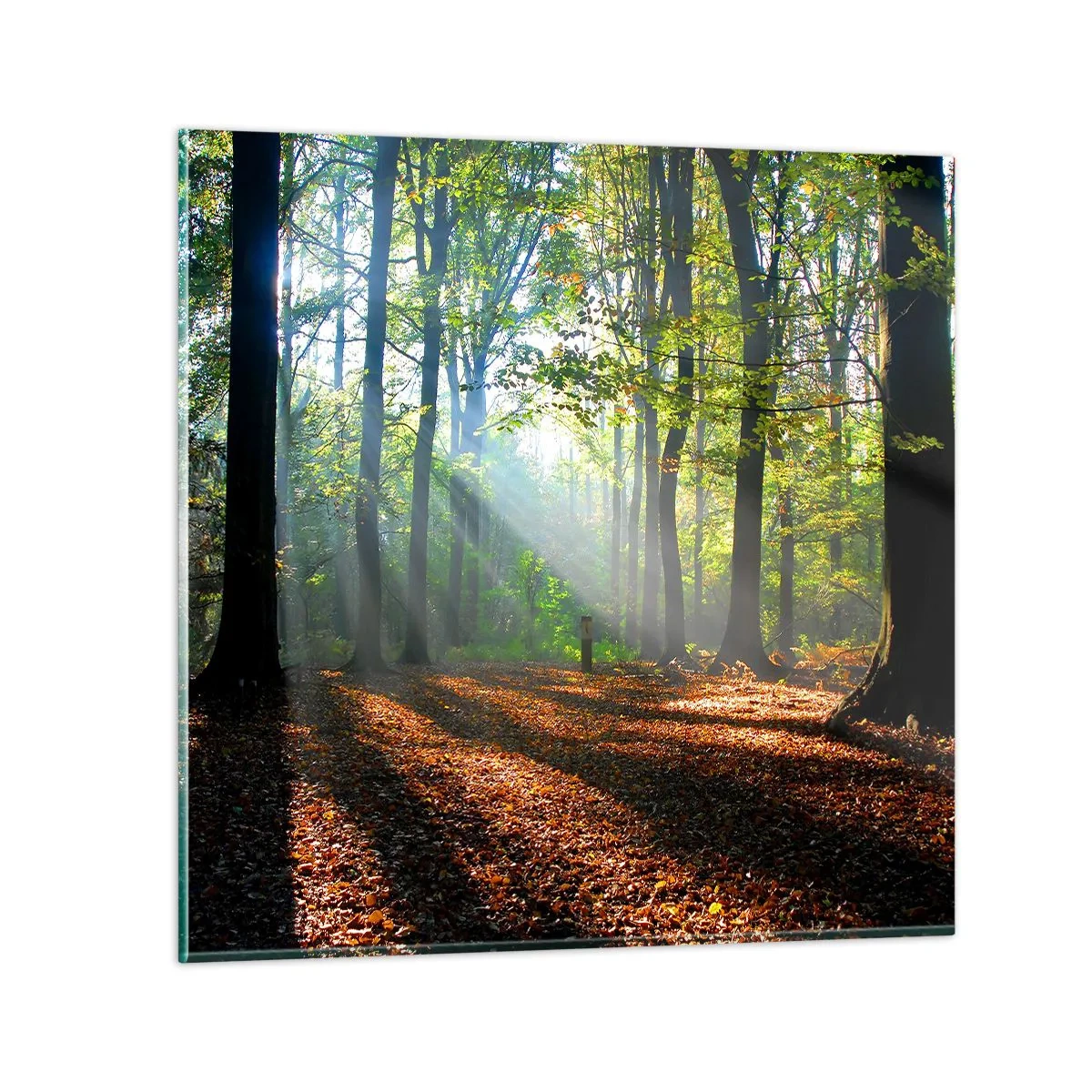 Billede på glas - Lys og skygger - 60x60 cm