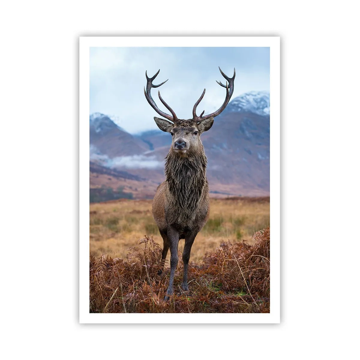 Plakat - På deres egen jord - 70x100 cm