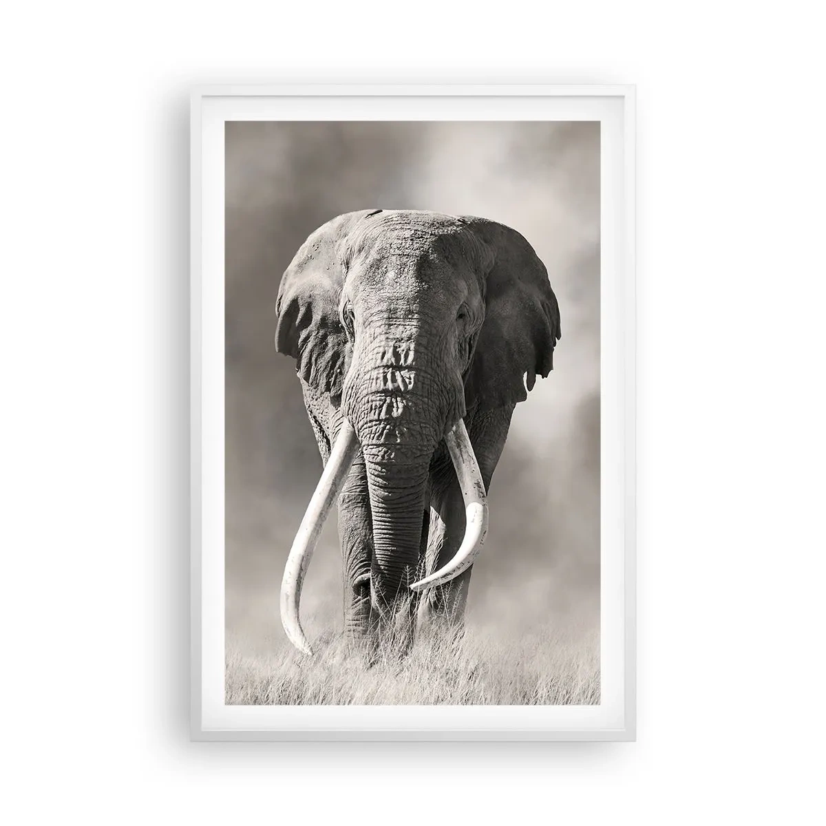 Plakat i hvid ramme - Afrikansk patriark - 61x91 cm
